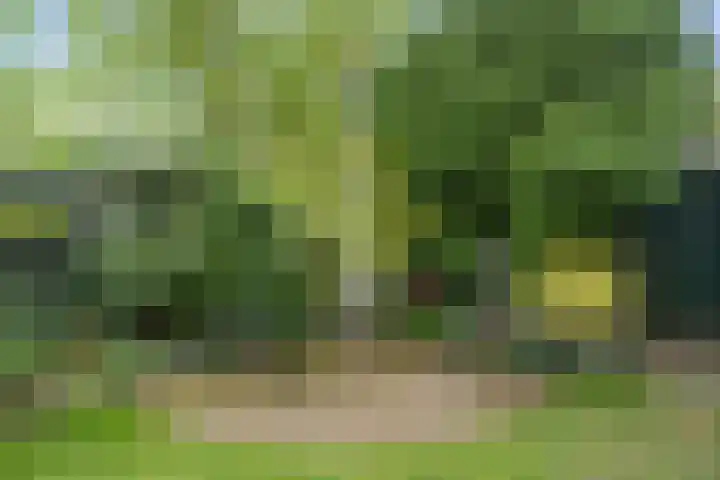 Nassaulaan 22 Bennekom thumbnail 34