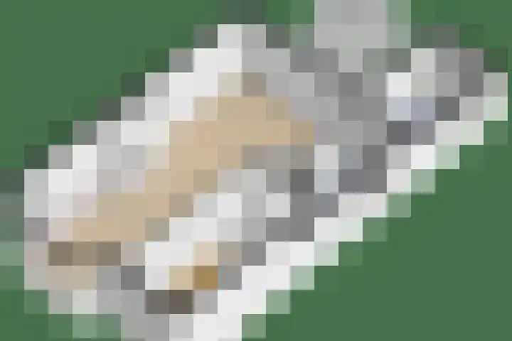 Nassaulaan 22 Bennekom thumbnail 41