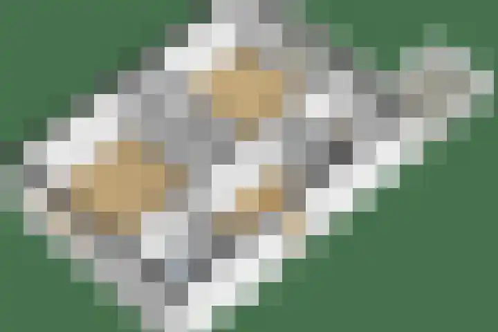 Nassaulaan 22 Bennekom thumbnail 42