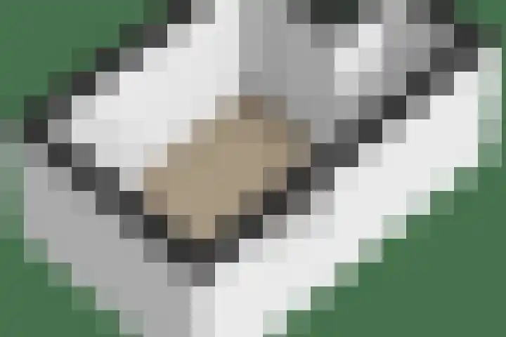 Nassaulaan 22 Bennekom thumbnail 46