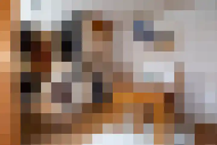 Nassaulaan 22 Groningen thumbnail 15