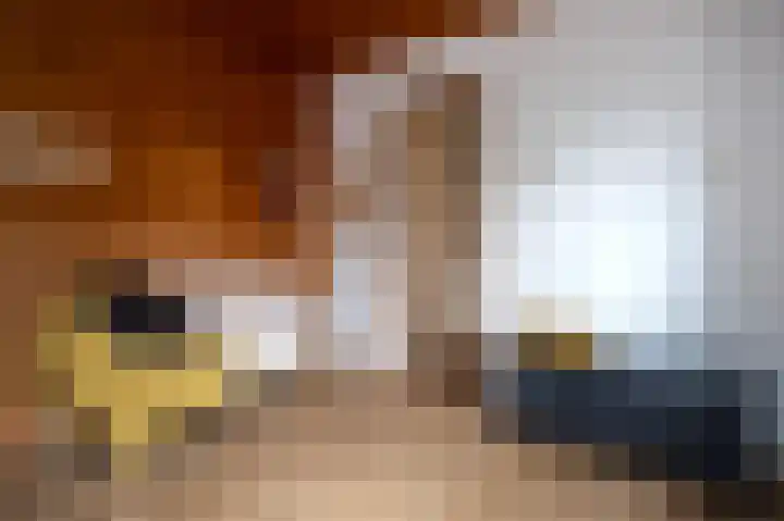 Nassaulaan 22 Groningen thumbnail 19