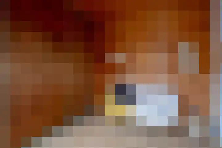 Nassaulaan 22 Groningen thumbnail 20