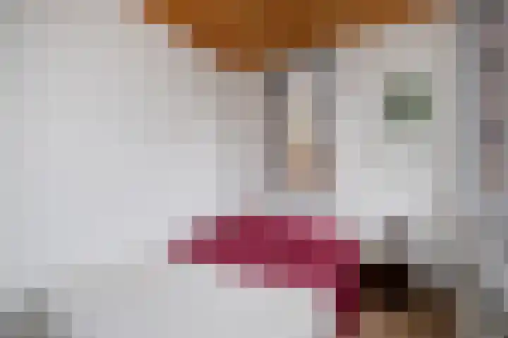 Nassaulaan 22 Groningen thumbnail 28