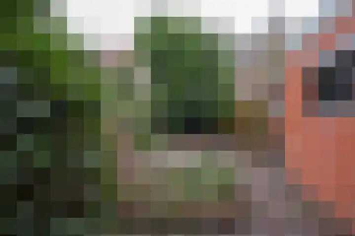 Nassaulaan 22 Groningen thumbnail 30