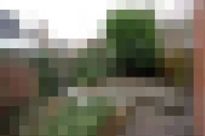 Nassaulaan 22 Groningen thumbnail 32