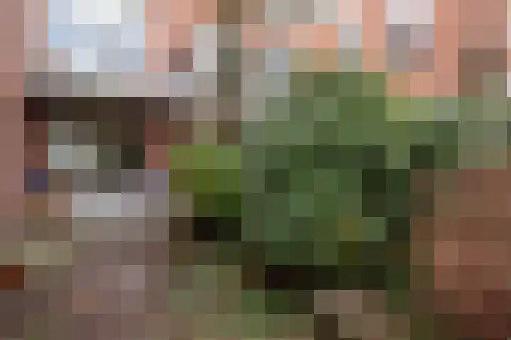 Nassaulaan 22 Groningen thumbnail 33