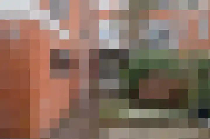 Nassaulaan 22 Groningen thumbnail 36