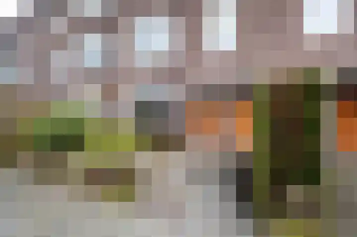 Nassaulaan 22 Groningen thumbnail 37