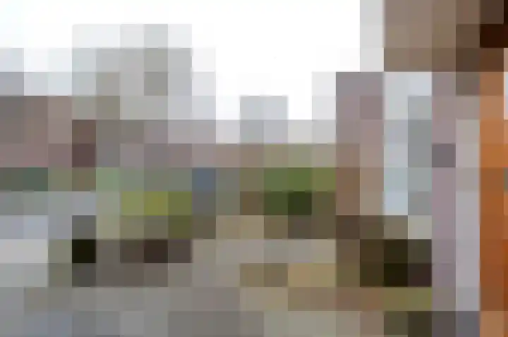 Nassaulaan 22 Groningen thumbnail 38
