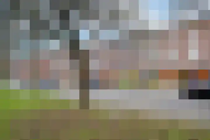 Nassaulaan 22 Groningen thumbnail 39