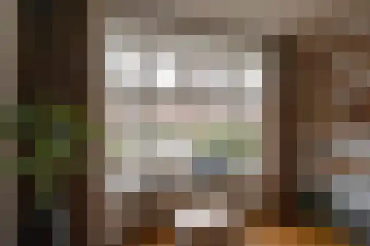 Nassaulaan 22 Groningen thumbnail 5