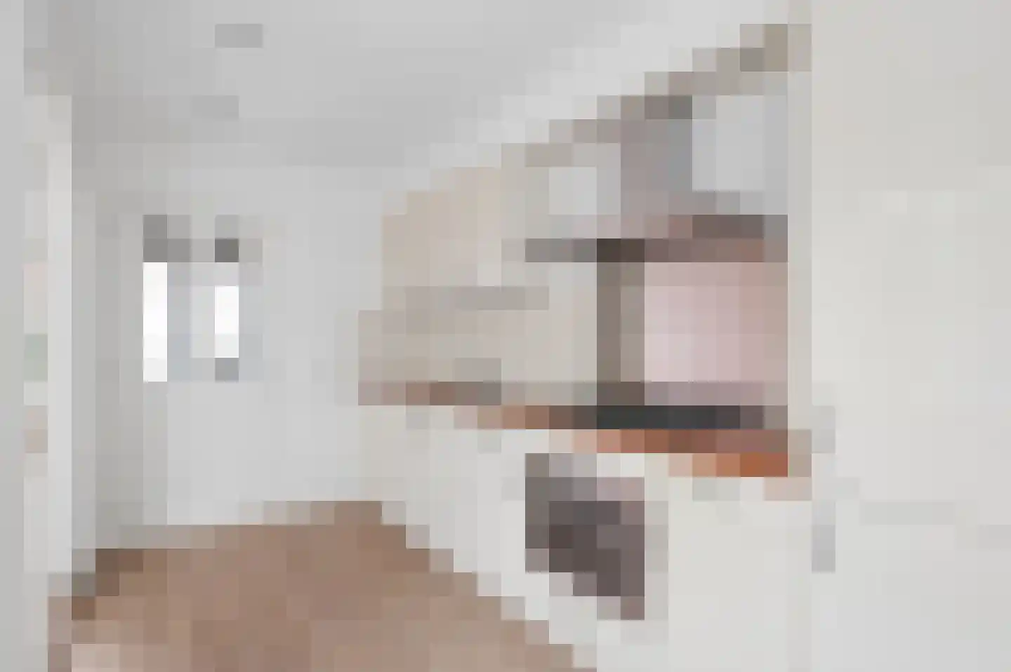 Nassaulaan 23 Amerongen thumbnail 7