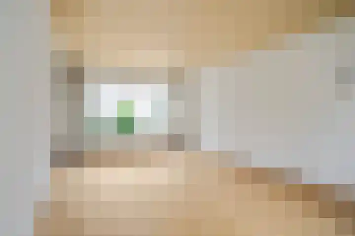 Nassaulaan 25 Amerongen thumbnail 11