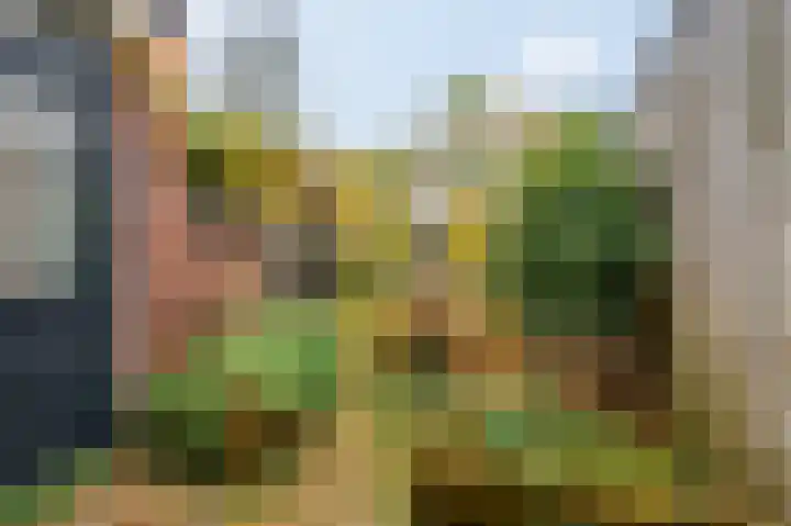 Nassaulaan 25 Amerongen thumbnail 26