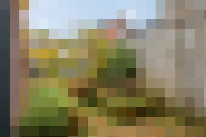 Nassaulaan 25 Amerongen thumbnail 27