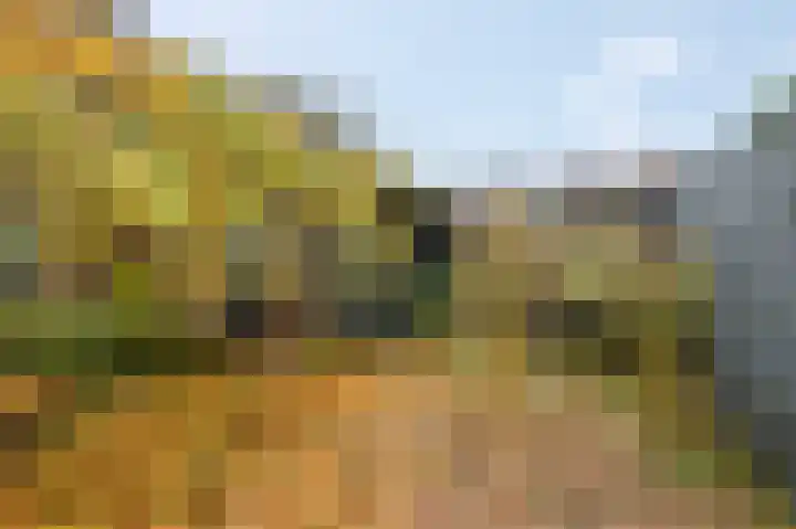 Nassaulaan 25 Amerongen thumbnail 28