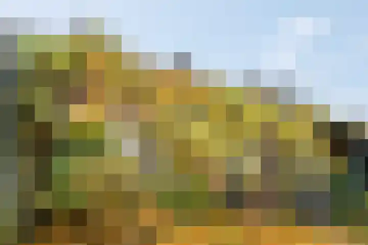 Nassaulaan 25 Amerongen thumbnail 29