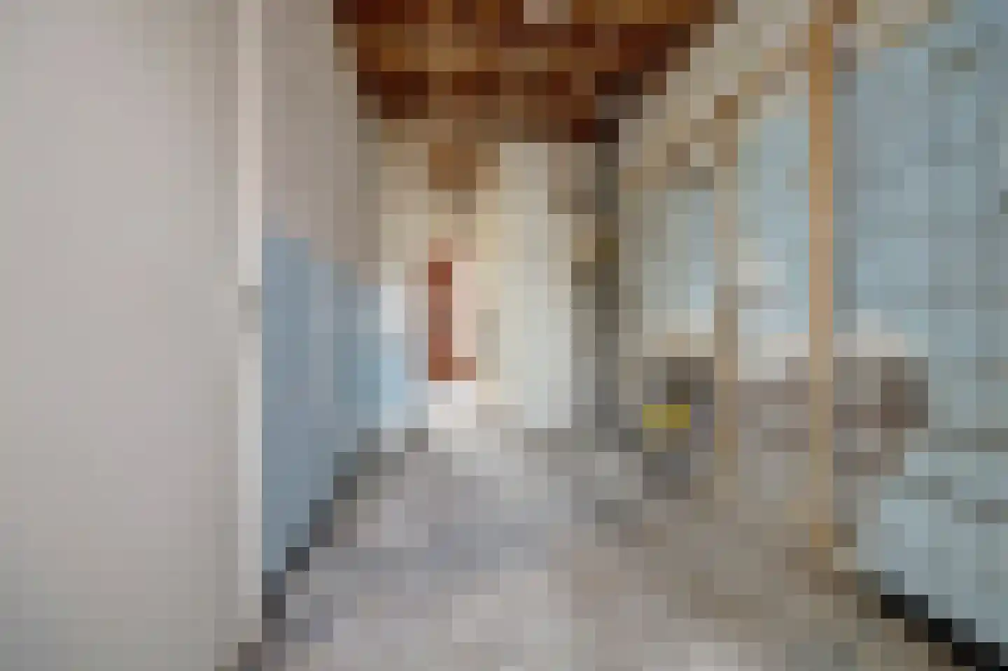 Nassaulaan 25 Vlijmen thumbnail 12