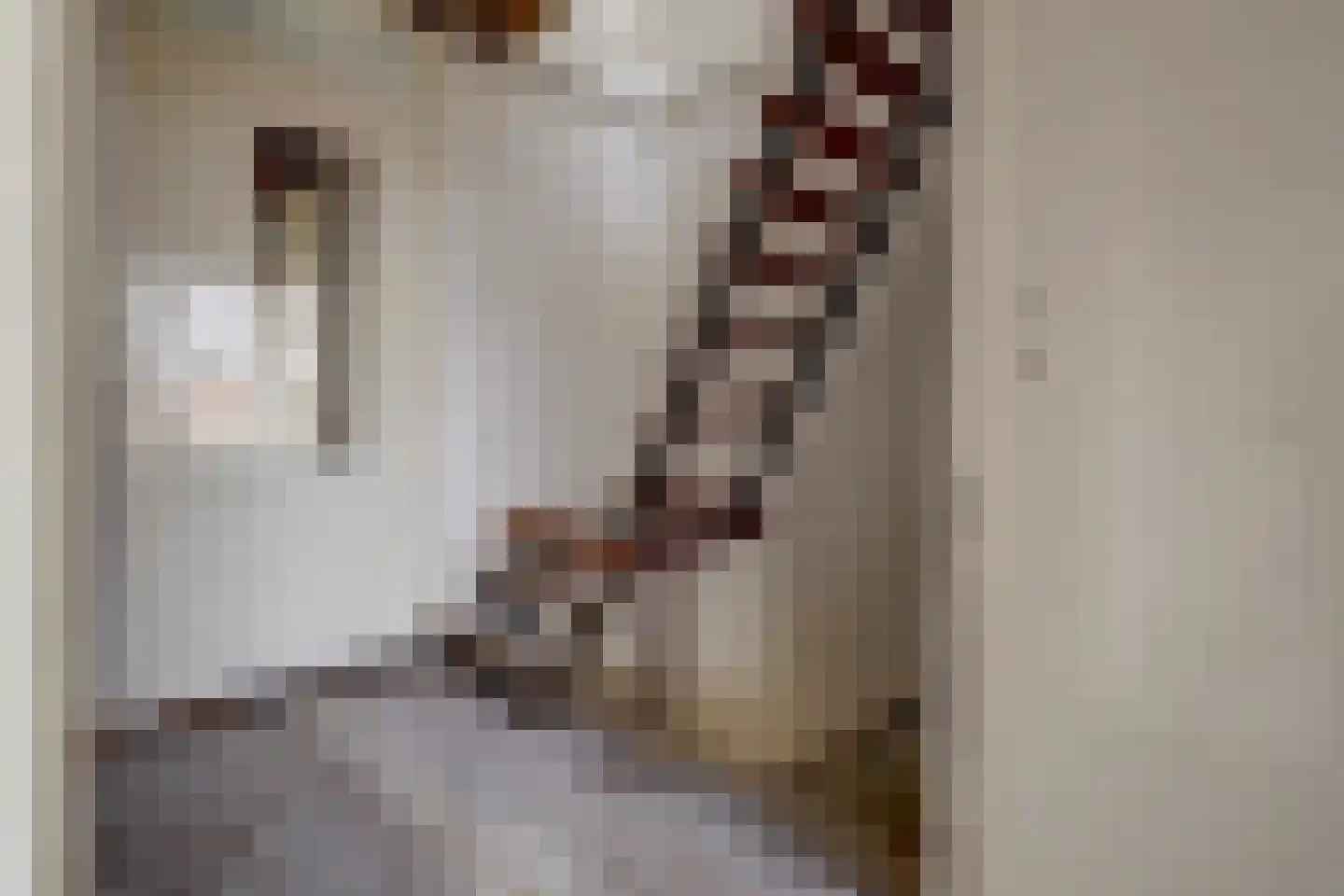 Nassaulaan 25 Vlijmen thumbnail 13
