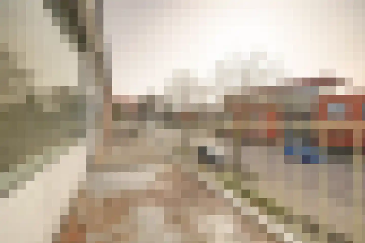 Nassaulaan 25 Vlijmen thumbnail 22