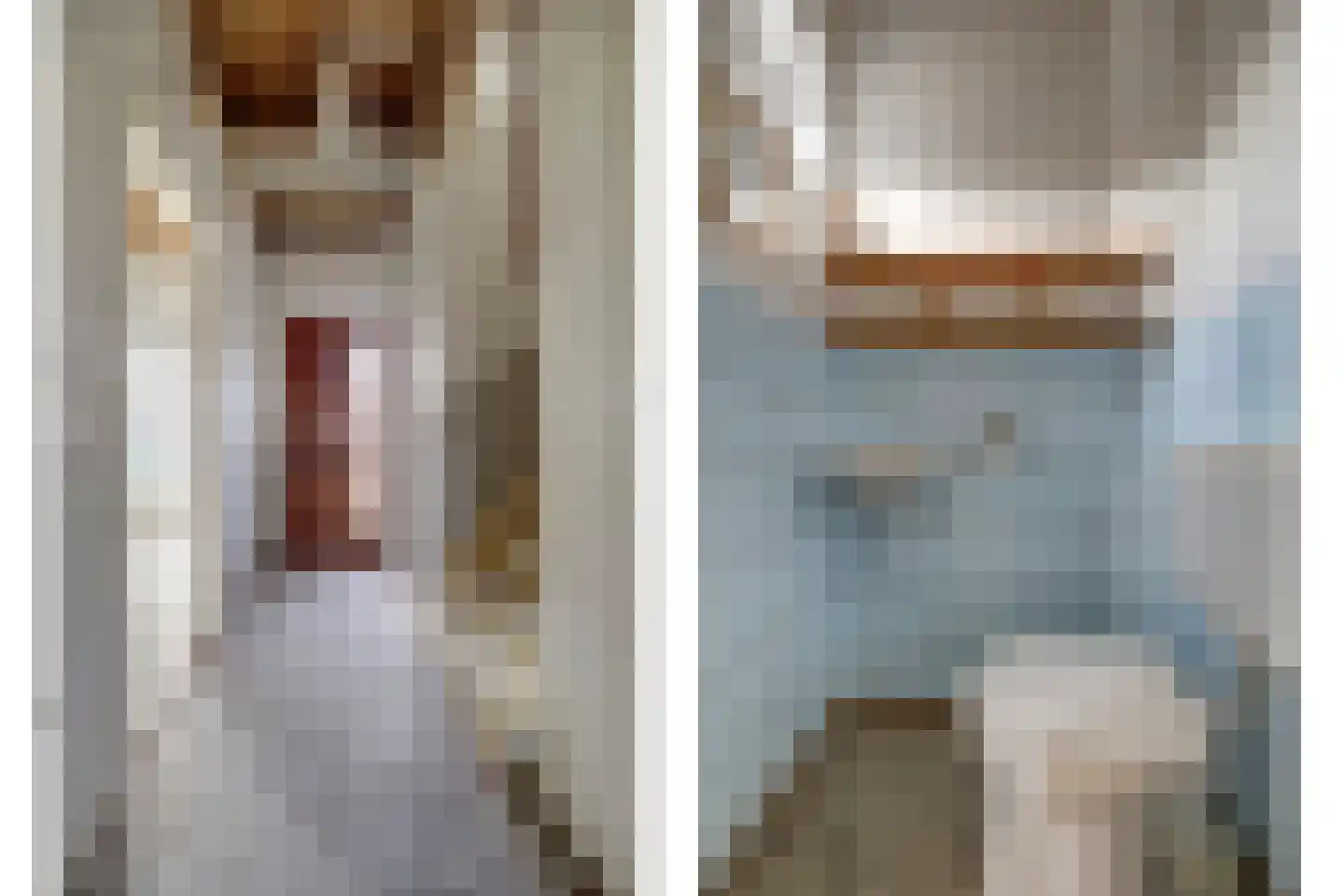 Nassaulaan 25 Vlijmen thumbnail 4