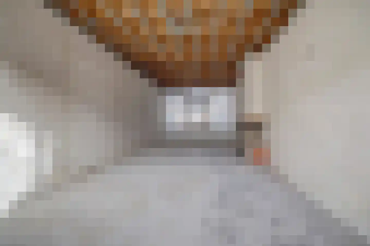 Nassaulaan 25 Vlijmen thumbnail 6
