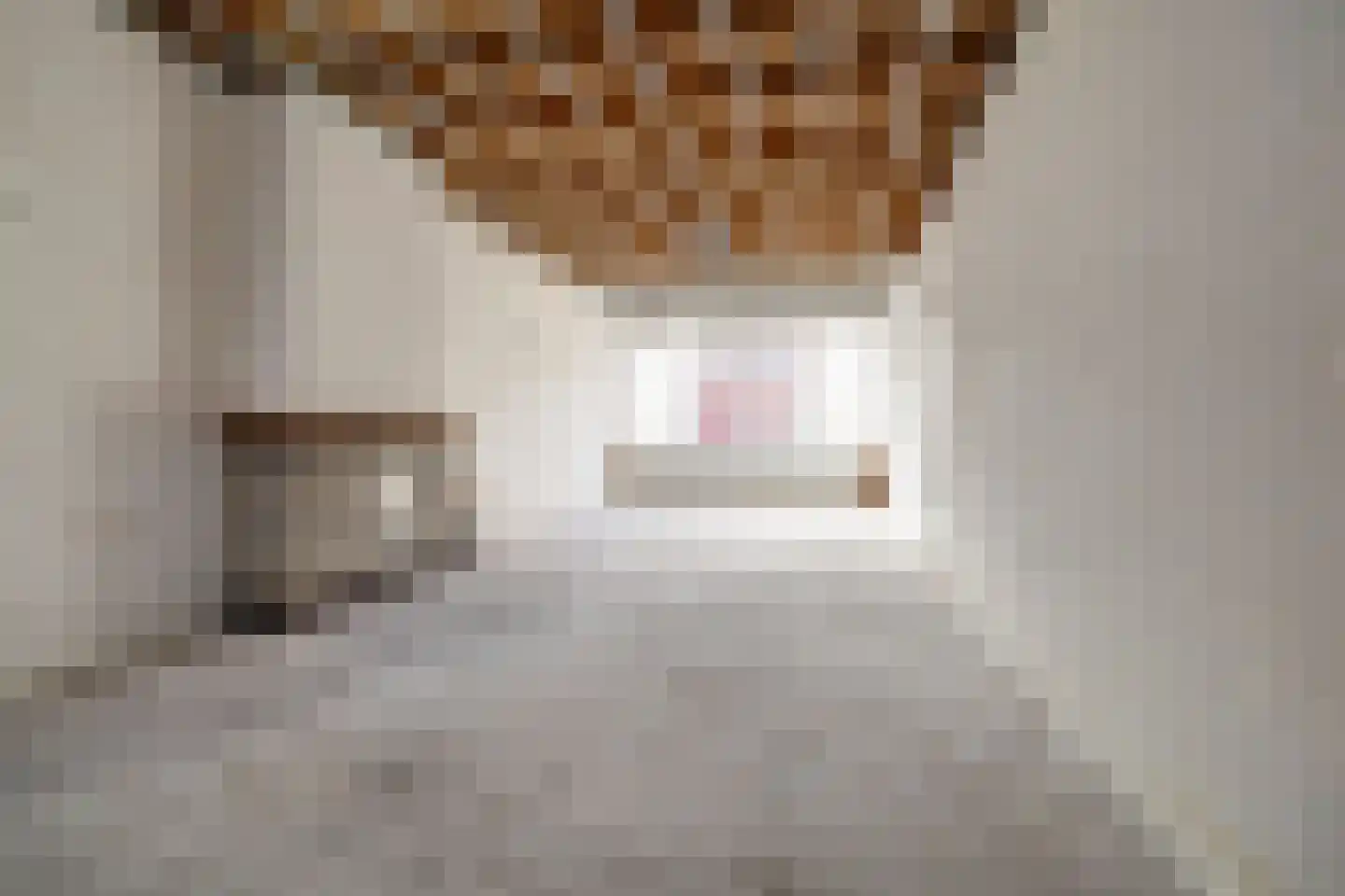Nassaulaan 25 Vlijmen thumbnail 8