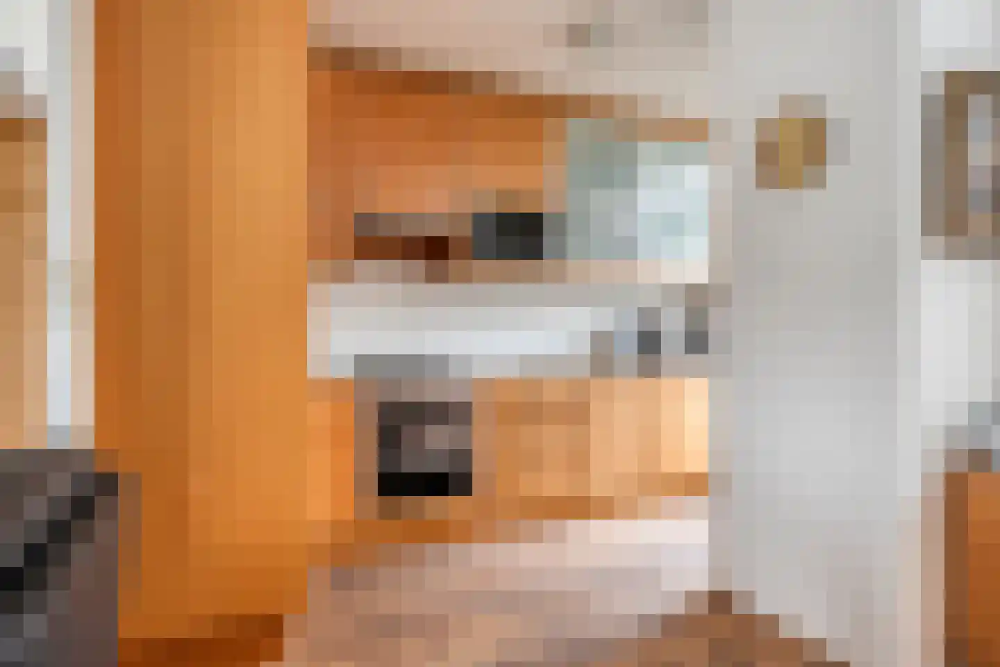 Nassaulaan 26 Hoevelaken thumbnail 14
