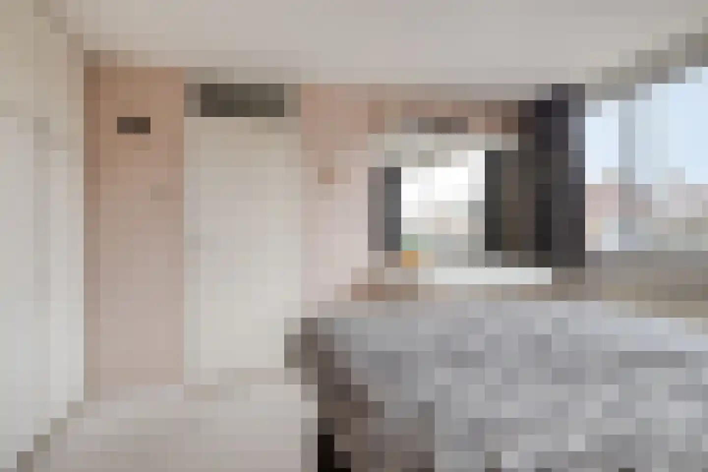 Nassaulaan 26 Hoevelaken thumbnail 19