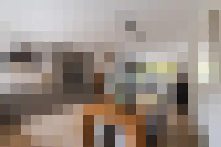Nassaulaan 28 Zoeterwoude thumbnail 19