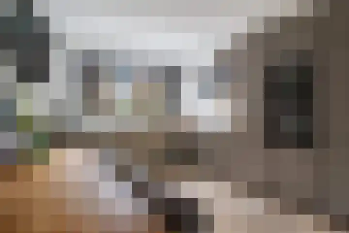 Nassaulaan 28 Zoeterwoude foto 2