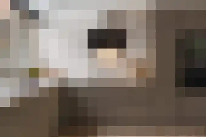 Nassaulaan 28 Zoeterwoude thumbnail 23