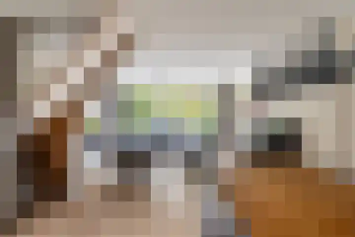 Nassaulaan 28 Zoeterwoude thumbnail 28