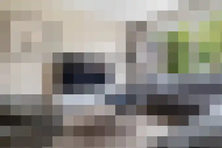 Nassaulaan 28 Zoeterwoude thumbnail 31