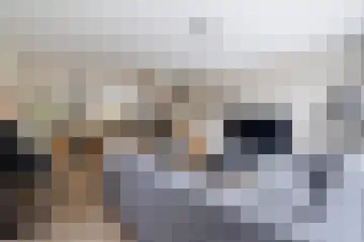 Nassaulaan 28 Zoeterwoude thumbnail 33