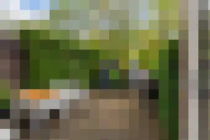 Nassaulaan 28 Zoeterwoude thumbnail 36