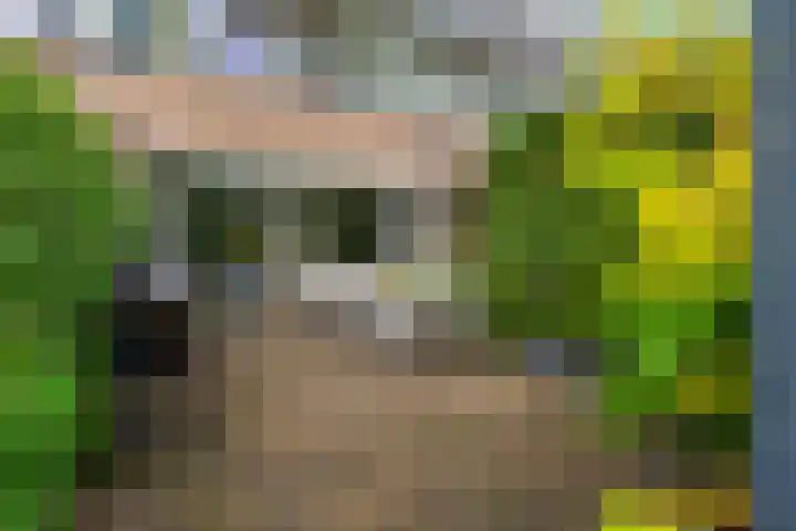 Nassaulaan 28 Zoeterwoude thumbnail 38