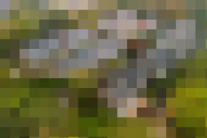 Nassaulaan 28 Zoeterwoude thumbnail 4