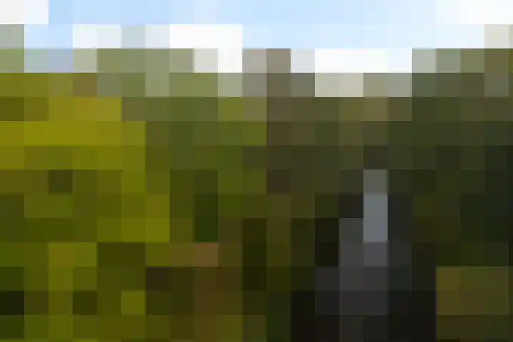 Nassaulaan 28 Zoeterwoude thumbnail 40