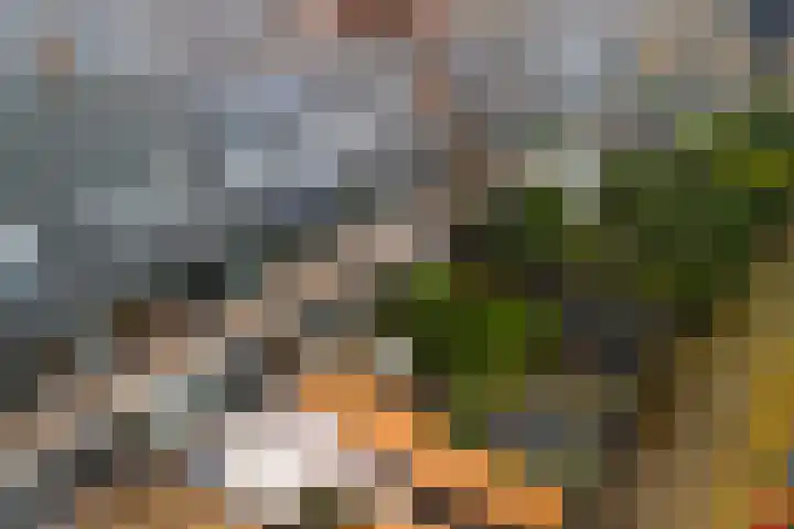 Nassaulaan 28 Zoeterwoude thumbnail 41