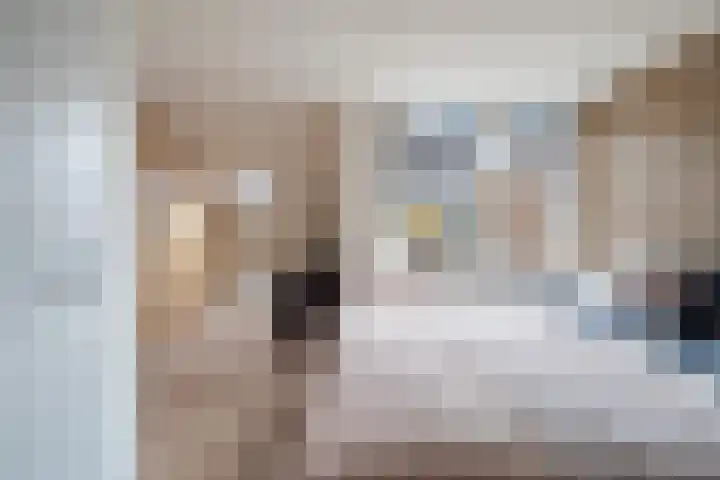 Nassaulaan 28 Zoeterwoude thumbnail 43