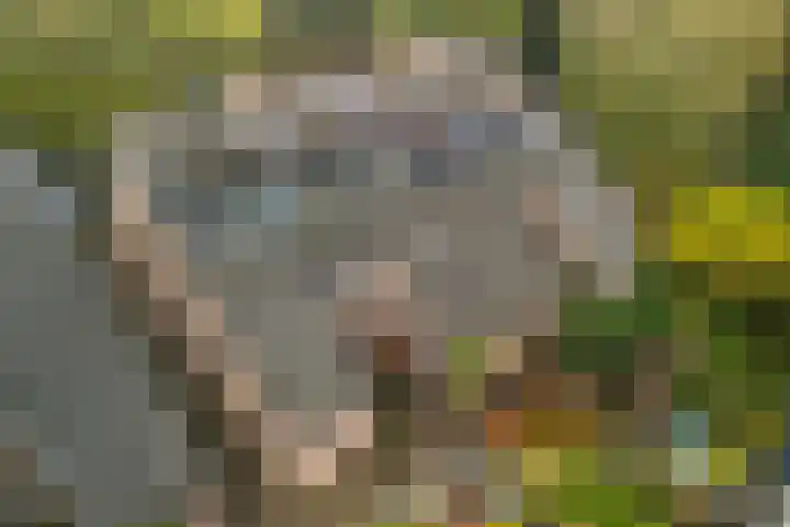 Nassaulaan 28 Zoeterwoude thumbnail 5