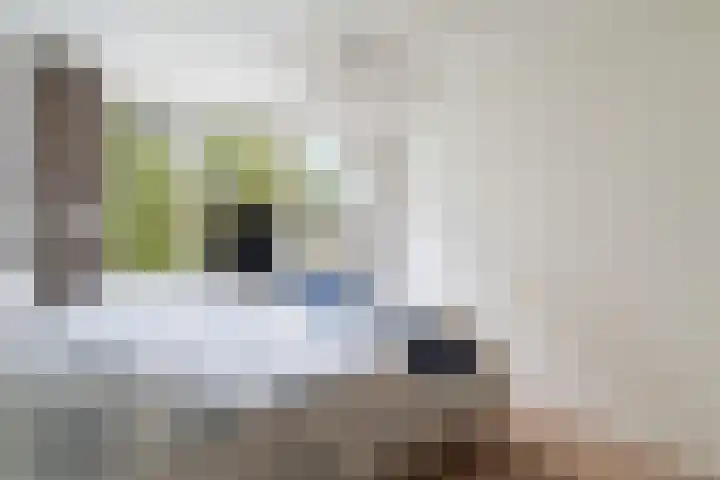 Nassaulaan 28 Zoeterwoude thumbnail 50