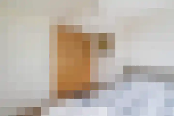 Nassaulaan 28 Zoeterwoude thumbnail 51