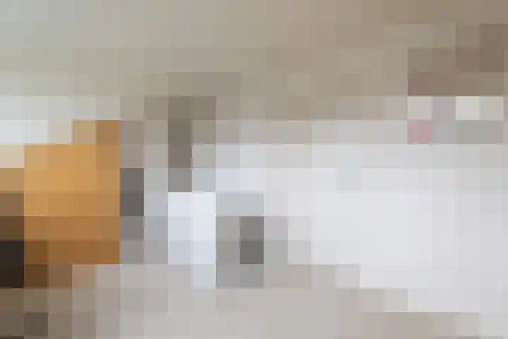 Nassaulaan 28 Zoeterwoude thumbnail 58