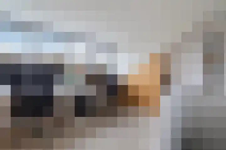 Nassaulaan 28 Zoeterwoude thumbnail 59