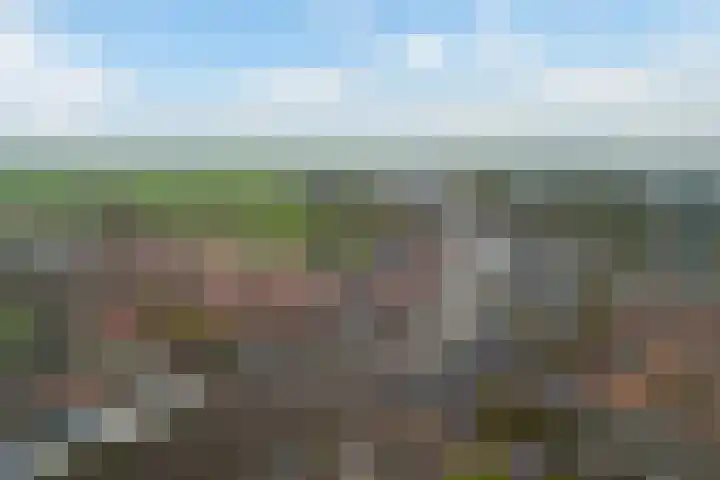 Nassaulaan 28 Zoeterwoude thumbnail 6
