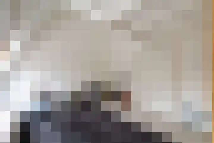 Nassaulaan 28 Zoeterwoude thumbnail 63