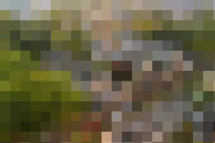 Nassaulaan 28 Zoeterwoude thumbnail 64